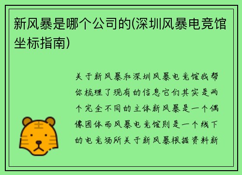新风暴是哪个公司的(深圳风暴电竞馆坐标指南)