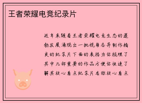 王者荣耀电竞纪录片